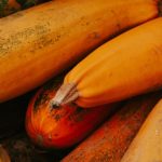 Courgette orange